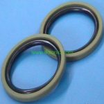 NBR and PTFE Glyd ring