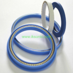 PTFE Lip Seal,Spring Energized PTFE Lip Seal