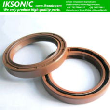 Viton TC double lips oil seal manufacturer