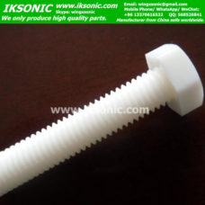 PTFE Teflon plastic bolt screw peek bolt nut