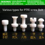 customized types teflon PTFE screw Bolt