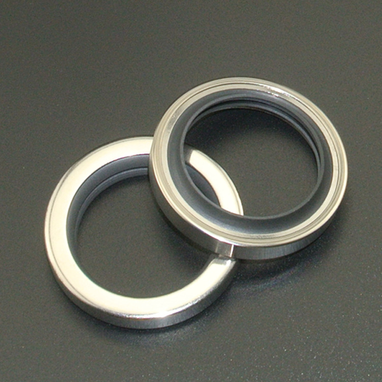 PTFE skeleton double lip oil seal stainless steel oil seal china factory