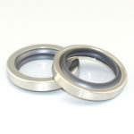 PTFE skeleton double lip oil seal multiple transmission TC 304 stainless steel oil seal