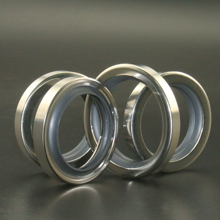 PTFE skeleton double lip oil seal multiple transmission TC 304 stainless steel oil seal china factory manufacturer