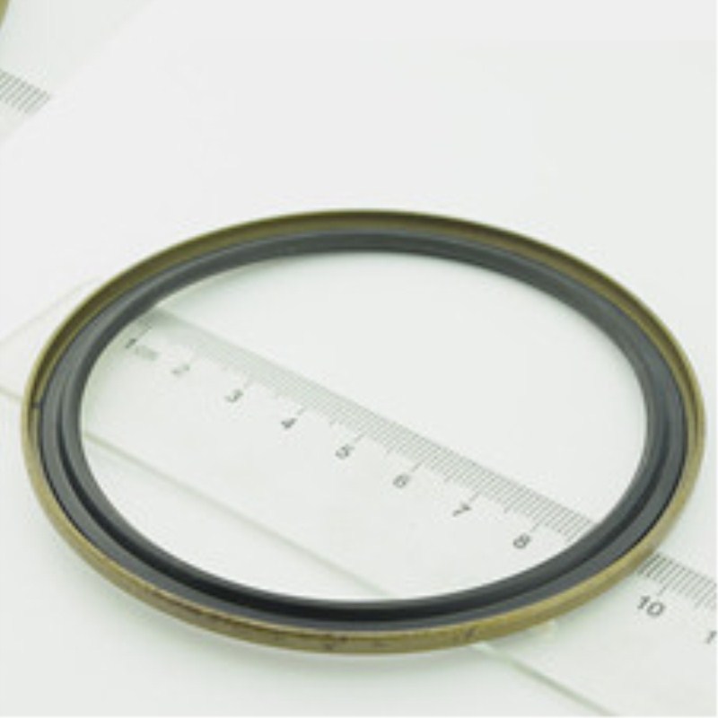 Excavator Bucket Shaft Oil Seal Skeleton Dustproof Oil Seal