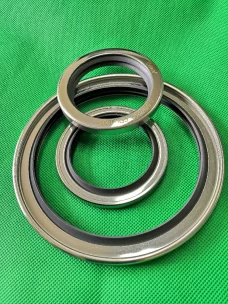 PTFE Stainless Steel Oil Seals - Single/Double Lip, All Sizes Industrial Sealing Components Germany USA American Europe China factory manufacturer