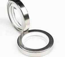 Teflon PTFE Stainless Steel Skeleton Oil Seals - Double Lip for Bore High-Speed Rotating Shafts, High Temp & Pressure Resistant China factory manufacturer