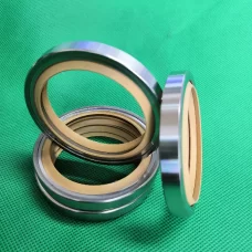 PTFE Stainless Steel Oil Seals - Single/Double Lip, All Sizes Industrial Sealing Components Germany USA American Europe China factory manufacturer
