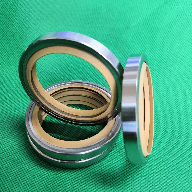 PTFE Stainless Steel Oil Seals - Single/Double Lip, All Sizes Industrial Sealing Components Germany USA American Europe China factory manufacturer