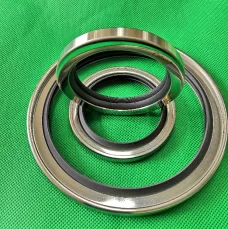PTFE Stainless Steel Oil Seals - Single/Double Lip, All Sizes Industrial Sealing Components Germany USA American Europe China factory manufacturer