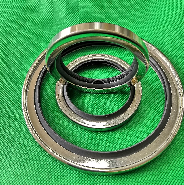 PTFE Stainless Steel Oil Seals - Single/Double Lip, All Sizes Industrial Sealing Components Germany USA American Europe China factory manufacturer