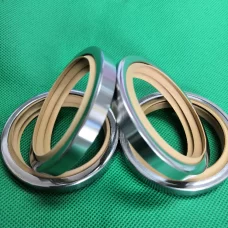 PTFE Stainless Steel Oil Seals - Single/Double Lip, All Sizes Industrial Sealing Components Germany USA American Europe China factory manufacturer