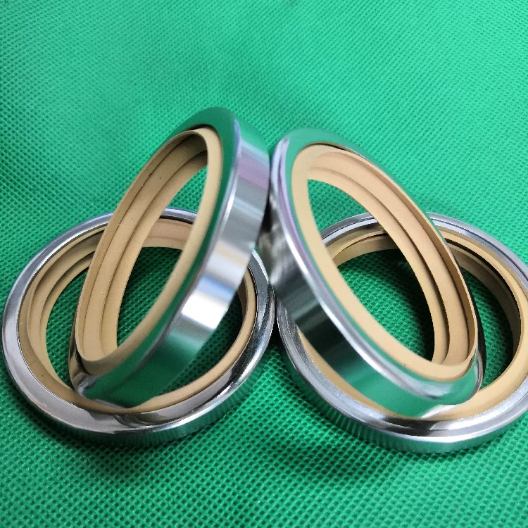PTFE Stainless Steel Oil Seals - Single/Double Lip, All Sizes Industrial Sealing Components Germany USA American Europe China factory manufacturer
