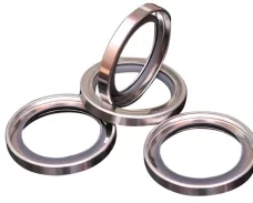 Teflon PTFE Stainless Steel Skeleton Oil Seals - Double Lip for Bore High-Speed Rotating Shafts, High Temp & Pressure Resistant China factory manufacturer