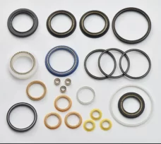 UPE/PEEK Spring Energized Seal China Manufacturer 1.5mm Plunger