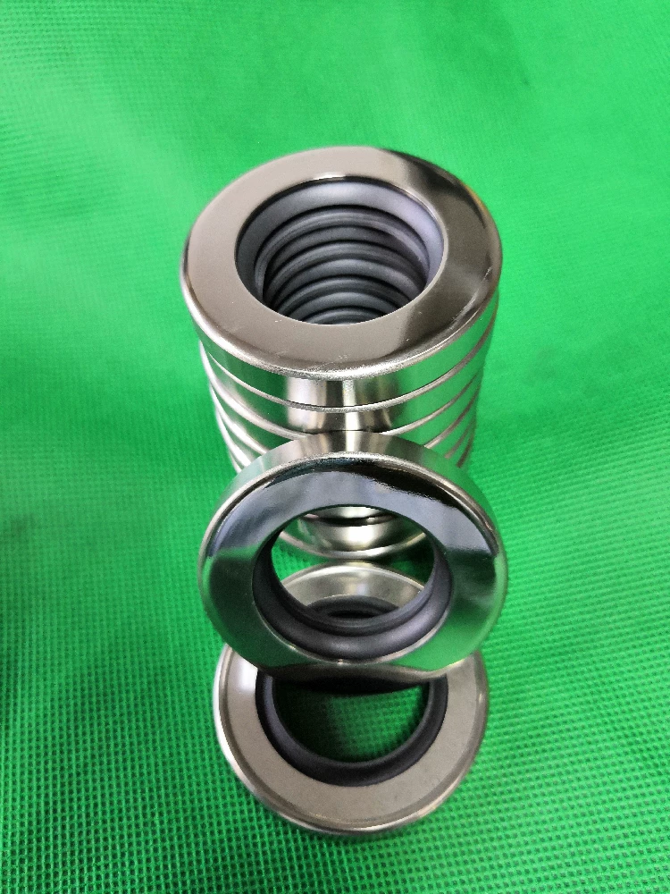 PTFE Stainless Steel Oil Seals - Single/Double Lip, All Sizes Industrial Sealing Components Germany USA American Europe China factory manufacturer