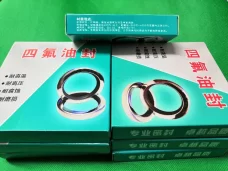 PTFE Stainless Steel Oil Seals - Single/Double Lip, All Sizes Industrial Sealing Components Germany USA American Europe China factory manufacturer