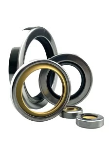 PTFE Teflon Oil Seals for Air Compressors - Double Lip High Temperature Resistant Stainless Steel Sealing Rings