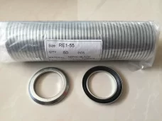 GAMMA seal SES end cover oil seal RE1-15/17/20/22/105 motor sealing ring RB/9RB/RE1