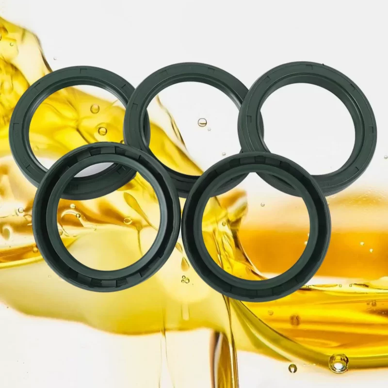 CTY C.T.Y. TG4/TGA NBR & FKM Viton Silicone Skeleton Oil Seals – Black NBR, Brown FKM, All Sizes