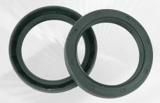 CTY C.T.Y. TG4/TGA NBR & FKM Viton Silicone Skeleton Oil Seals – Black NBR, Brown FKM, All Sizes