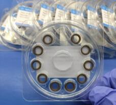 Agilent Liner Inlet O-Ring 5190-2269 GC Chromatograph Liner Seal by IKSONIC CO., LTD. China factory manufacturer supplier