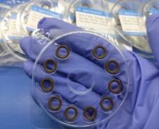 Agilent Liner Inlet O-Ring 5190-2269 GC Chromatograph Liner Seal by IKSONIC CO., LTD. China factory manufacturer supplier