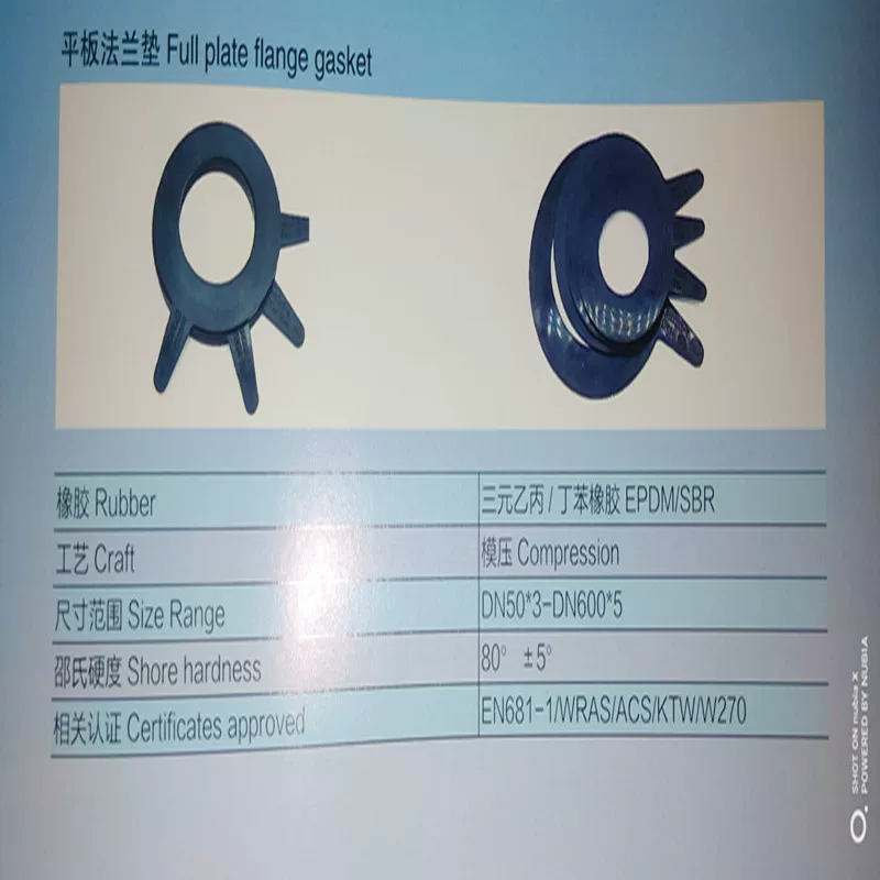EPDM Rubber Valve Core Check Valve Rubber Valve Clapper Butterfly Valve Anti-Slip Ring T-Ring Full Disc Flat Flange Gasket SBR by IKSONIC CO., LTD. China factory manufacturer supplier