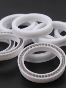 Filling Machine Shaft Spring Energized Seal by IKSONIC CO., LTD. China factory manufacturer supplier