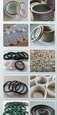 Filling Machine Shaft Spring Energized Seal by IKSONIC CO., LTD. China factory manufacturer supplier