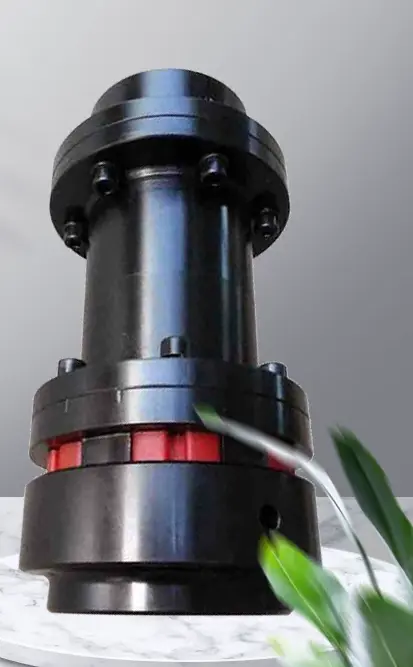 H Type Coupling Replacement N-eupex NPX Coupling SKF Martin by IKSONIC CO., LTD. China factory manufacturer supplier