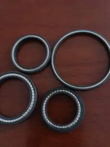 High Pressure Wear-Resistant FOAFCAFOIFVI Shaft Hole Spring Energized Seal by IKSONIC CO., LTD. China factory manufacturer supplier