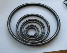 High Pressure Wear-Resistant FOAFCAFOIFVI Shaft Hole Spring Energized Seal by IKSONIC CO., LTD. China factory manufacturer supplier