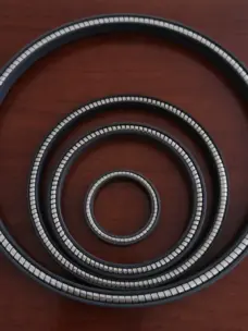 High Pressure Wear-Resistant FOAFCAFOIFVI Shaft Hole Spring Energized Seal by IKSONIC CO., LTD. China factory manufacturer supplier