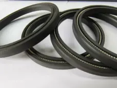 Rotary Spring Energized Seal / S19-F / V-Ring Spring Seal / Balance Seal by IKSONIC CO., LTD. China factory manufacturer supplier