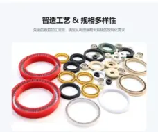 Ultra-Low Temperature Spring Energized Seal M2 for Cryogenic Valves LNG Liquid Nitrogen -196°C by IKSONIC CO., LTD. China factory manufacturer supplier