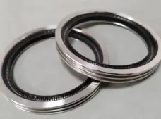 Bal Seal High Speed Rotary Oil Seal LKS Spring Energized PTFE Seal by IKSONIC CO., LTD. China factory manufacturer supplier