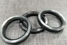 Bal Seal High Speed Rotary Oil Seal LKS Spring Energized PTFE Seal by IKSONIC CO., LTD. China factory manufacturer supplier