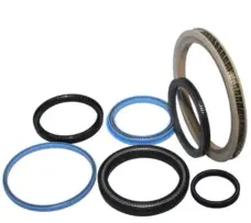 Carbon Fiber PTFE Spring Energized Seal for High Speed Rotary Reciprocating Oil Seal High Temperature Corrosion Resistant by IKSONIC CO., LTD. China factory manufacturer supplier