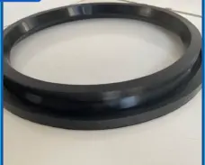 Custom Dome Valve Seal Ring Black High Temperature Resistant Anti-Aging Insert Dome Valve Seal DN300 DN200 by IKSONIC CO., LTD. China factory manufacturer supplier