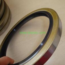 Hydraulic High Pressure Auto NBR TC Oil Seal by IKSONIC CO., LTD. China factory manufacturer supplier