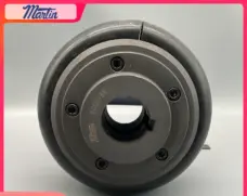 Martin Flex-F50 F60 F70 F80 F90 F100 F110 F120 Coupling by IKSONIC CO., LTD. China factory manufacturer supplier