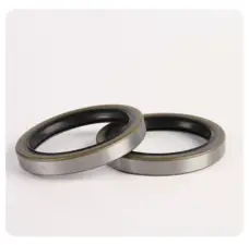 Original Taiwan SOG TA/SA 160x190x15 Double Lip Iron Shell Oil Seal by IKSONIC CO., LTD. China factory manufacturer supplier