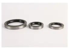 Original Taiwan SOG TA/SA 160x190x15 Double Lip Iron Shell Oil Seal by IKSONIC CO., LTD. China factory manufacturer supplier