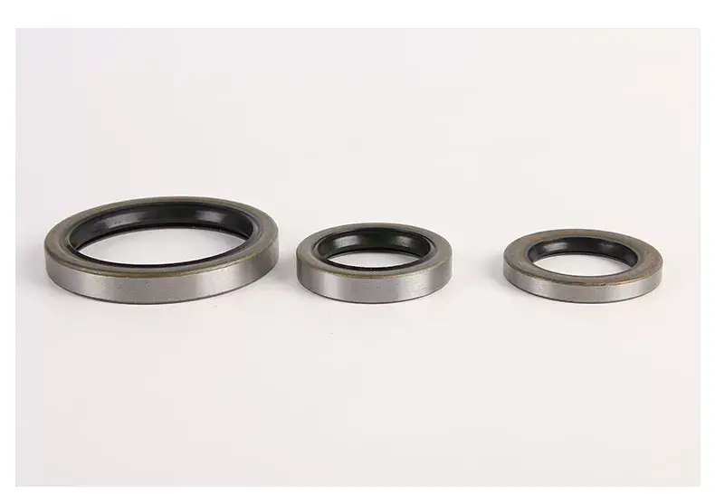 Original Taiwan SOG TA/SA 160x190x15 Double Lip Iron Shell Oil Seal by IKSONIC CO., LTD. China factory manufacturer supplier