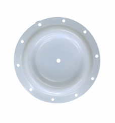 Translucent pump diaphragm with ten perimeter mounting holes and one central hole.