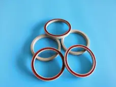 Front and reverse views of PTFE seal rings and red inserts supplied by IKSONIC