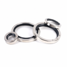 Four imported finished stainless-steel PTFE oil seals with black inner lips, including two large rings and two smaller rings, supplied by IKSONIC.