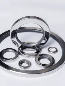 Assortment of stainless-steel PTFE oil seals in several sizes on a white surface, supplied by IKSONIC in China.